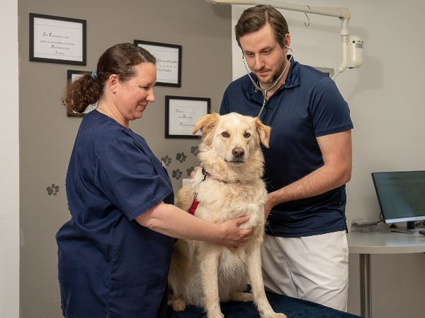 Tierarzt Pliezhausen, Tierärztliche Praxis am Schö …