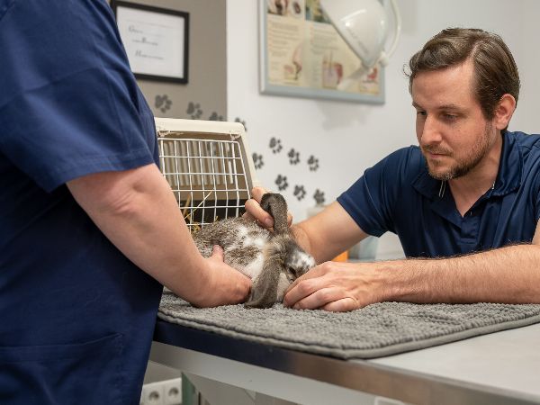 Tierarzt Pliezhausen, Tierärztliche Praxis am Schö …