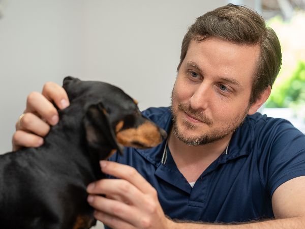 Tierarzt Pliezhausen, Tierärztliche Praxis am Schö …