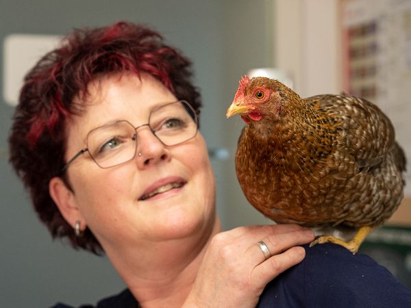 Tierarzt Pliezhausen, Tierärztliche Praxis am Schö …