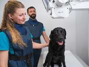 Tierarzt Potsdam, Tierarztpraxis Activet Potsdam - GALLERY