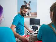 Tierarzt Potsdam, Tierarztpraxis Activet Potsdam - GALLERY