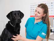 Tierarzt Potsdam, Tierarztpraxis Activet Potsdam - GALLERY