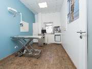 Tierarzt Potsdam, Tierarztpraxis Activet Potsdam - GALLERY