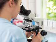 Tierarzt Rheda Wiedenbrück, Tierarztpraxis Dr. Schepers - GALLERY