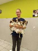 Tierarzt Salzkotten, Tierärztliche Praxis für Kleintiere - GALLERY