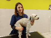 Tierarzt Salzkotten, Tierärztliche Praxis für Kleintiere - GALLERY