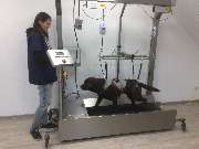 Tierarzt Salzkotten, Tierärztliche Praxis für Kleintiere - GALLERY