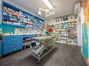 Tierarzt Saur Garmisch-Partenkirchen, Tierarztpraxis Dr. Saur - GALLERY