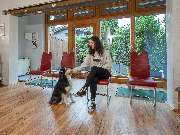 Tierarzt Saur Garmisch-Partenkirchen, Tierarztpraxis Dr. Saur - GALLERY