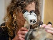 Tierarzt Saur Garmisch-Partenkirchen, Tierarztpraxis Dr. Saur - GALLERY