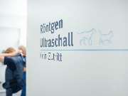 Tierarzt Schlüter Kiel, Kleintierzentrum Kiel kielVet - GALLERY