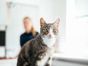 Tierarzt Schlüter Kiel, Tierarztpraxis Schlüter - GALLERY