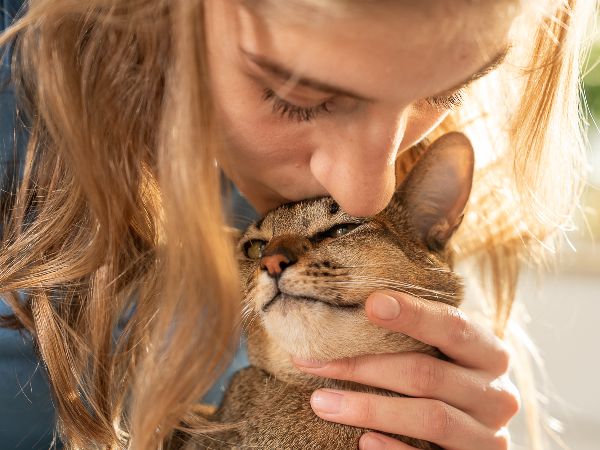 Tierarzt Steinbauer Scheuring, Tierarztpraxis Gut  …