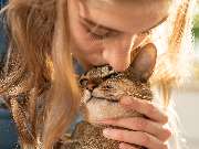 Tierarzt Steinbauer Scheuring, Tierarztpraxis Gut Lichtenberg - GALLERY