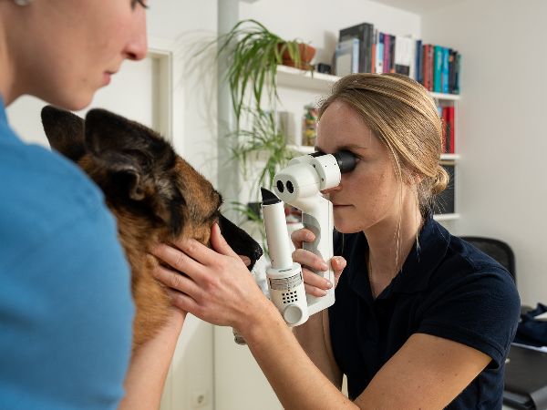 Tierarzt Steinbauer Scheuring, Tierarztpraxis Gut  …