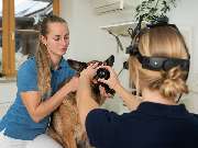 Tierarzt Steinbauer Scheuring, Tierarztpraxis Gut Lichtenberg - GALLERY