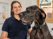 Tierarzt Steinbauer Scheuring, Tierarztpraxis Gut Lichtenberg - GALLERY