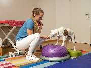 Tierarzt Steinbauer Scheuring, Tierarztpraxis Gut Lichtenberg - GALLERY