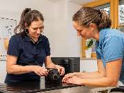 Tierarzt Steinbauer Scheuring, Tierarztpraxis Gut Lichtenberg - GALLERY