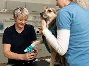 Tierarzt Steinbauer Scheuring, Tierarztpraxis Gut Lichtenberg - GALLERY