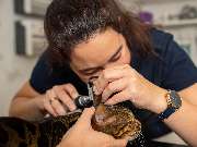 Tierarzt Steinbauer Scheuring, Tierarztpraxis Gut Lichtenberg - GALLERY