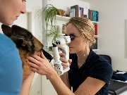 Tierarzt Steinbauer Scheuring, Tierarztpraxis Gut Lichtenberg - GALLERY