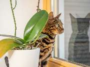 Tierarzt Steinbauer Scheuring, Tierarztpraxis Gut Lichtenberg - GALLERY