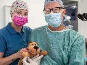 Tierarzt Steinbauer Scheuring, Tierarztpraxis Gut Lichtenberg - GALLERY