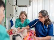 Tierarzt Stolberg, Tierarztpraxis am Breiniger Denkmal - GALLERY