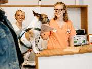 Tierarzt Stolle-Malorny & Vöster Berlin-Wilmersdorf - GALLERY