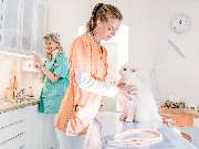 Tierarzt Stolle-Malorny & Vöster Berlin-Wilmersdorf - GALLERY