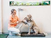 Tierarzt Stolle-Malorny & Vöster Berlin-Wilmersdorf - GALLERY