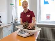 Tierarzt Stuttgart, Tierarzt Dr. Jörg Richter - GALLERY