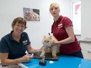 Tierarzt Stuttgart, Tierarzt Dr. Jörg Richter - GALLERY