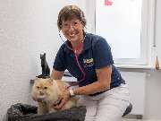 Tierarzt Stuttgart, Tierarzt Dr. Jörg Richter - GALLERY