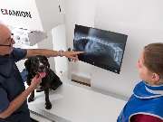 Tierarzt Stuttgart, Tierarzt Dr. Jörg Richter - GALLERY