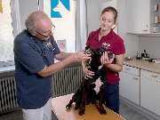 Tierarzt Stuttgart, Tierarzt Dr. Jörg Richter - GALLERY