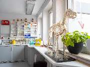 Tierarzt Süß Ludwigshafen, Tierarztpraxis Dr. Süß - GALLERY