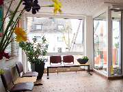 Tierarzt Süß Ludwigshafen, Tierarztpraxis Dr. Süß - GALLERY