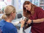 Tierarzt Süß Ludwigshafen, Tierarztpraxis Dr. Süß - GALLERY