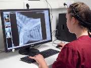 Tierarzt Süß Ludwigshafen, Tierarztpraxis Dr. Süß - GALLERY