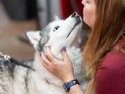 Tierarzt Süß Ludwigshafen, Tierarztpraxis Dr. Süß - GALLERY