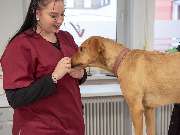 Tierarzt Süß Ludwigshafen, Tierarztpraxis Dr. Süß - GALLERY