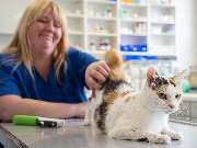 Tierarzt Süß Ludwigshafen, Tierarztpraxis Dr. Süß - GALLERY