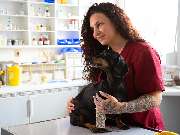 Tierarzt Süß Ludwigshafen, Tierarztpraxis Dr. Süß - GALLERY