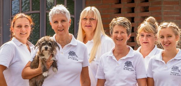 Tierarzt Unterlüß, Heidjer Vets Unterlüß - GALLERY