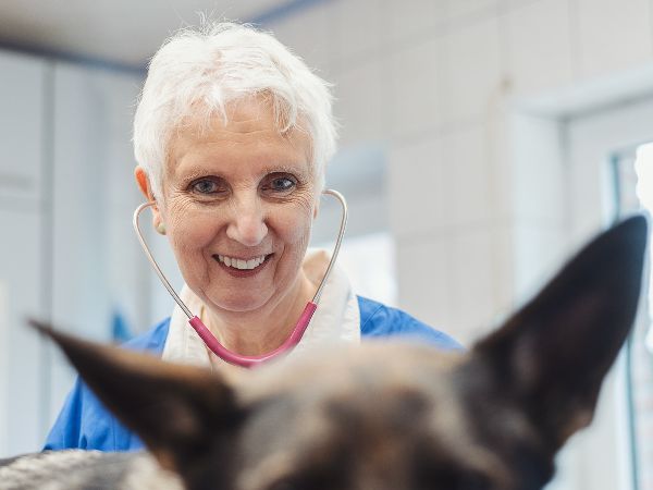 Tierarzt Unterlüß, Heidjer Vets Unterlüß - GALLERY