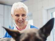 Tierarzt Unterlüß, Heidjer Vets Unterlüß - GALLERY