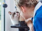 Tierarzt Unterlüß, Heidjer Vets Unterlüß - GALLERY